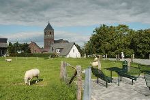 Foto der Sankt Johannes Kirche in Dornick mit Sitzgelgenheit und Schafen im Vordergrund