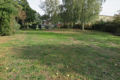 Rasenfläche mit Fußballtor