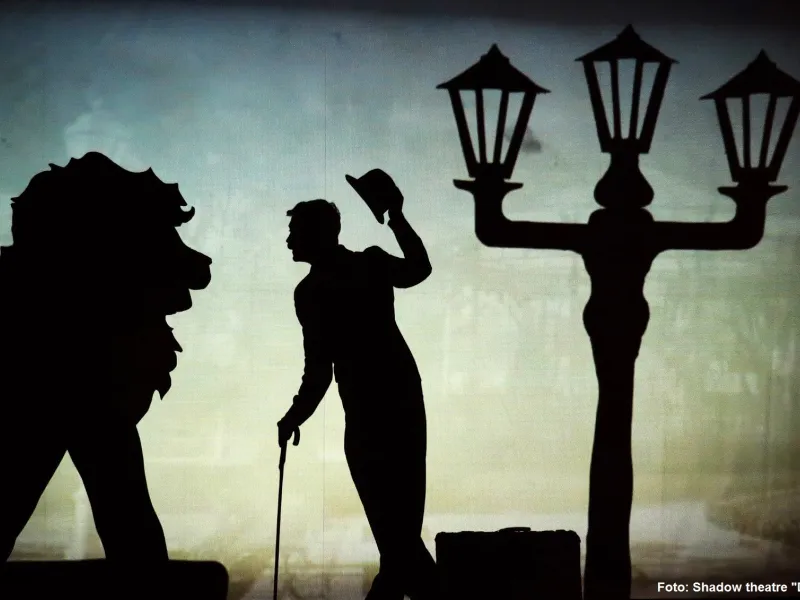Amazing Shadows