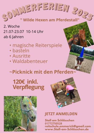Sommerferienprogramm Reitschule
