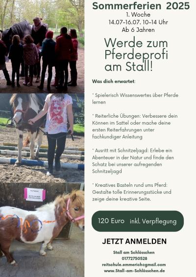 Sommerferienprogramm Reitschule