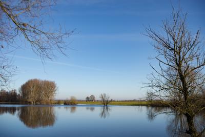 Bild des Flussufer am Niederrheins 