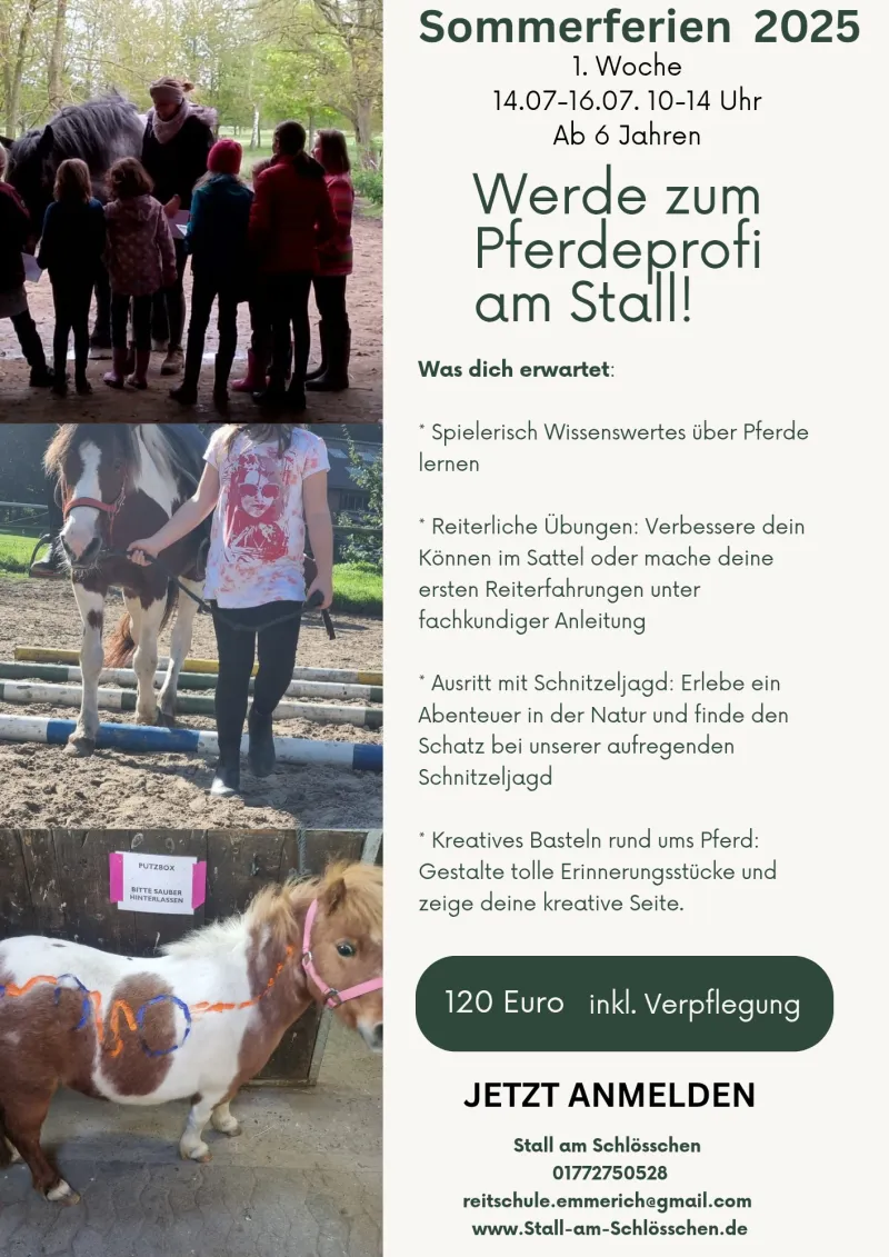 Sommerferienprogramm Reitschule