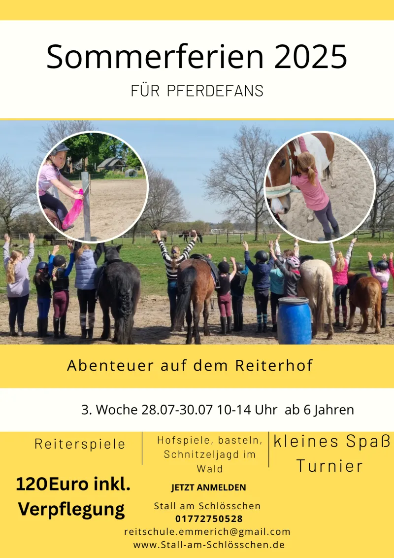 Sommerferienprogramm Reitschule