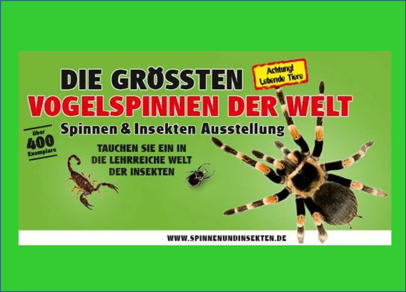 Event Image: Das große Krabbeln kommt nach Emmerich am Rhein.